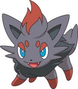 zorua.jpg